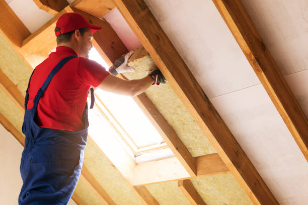 Best Basement Insulation  in Mandeville, LA